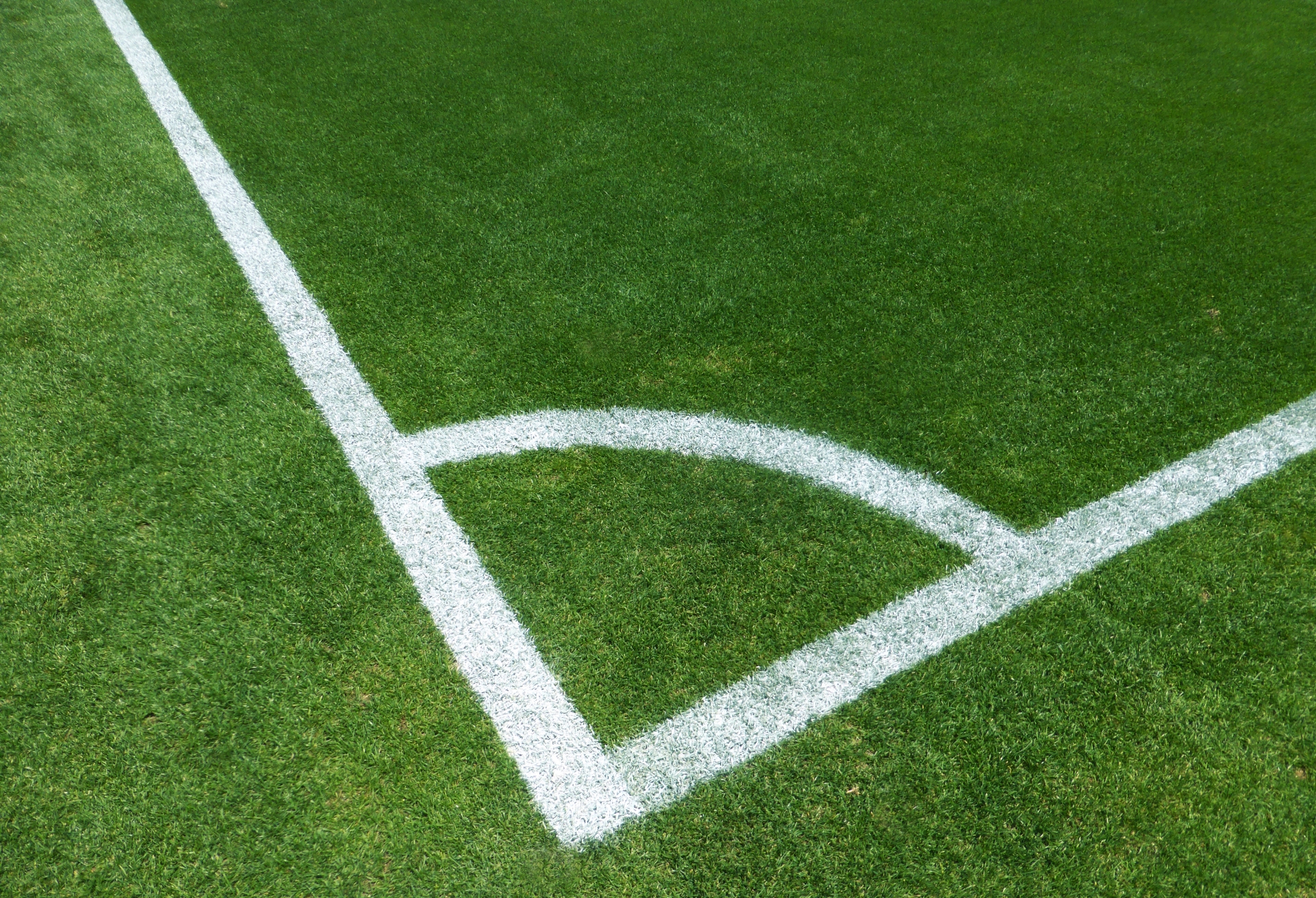 連盟役員のイメージ画像